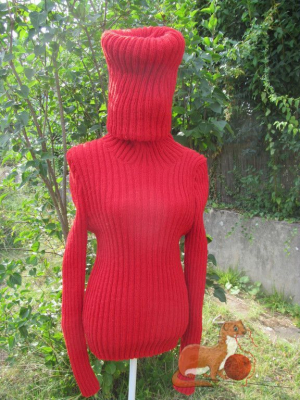 Roter Pullover mit langem Rollkragen1