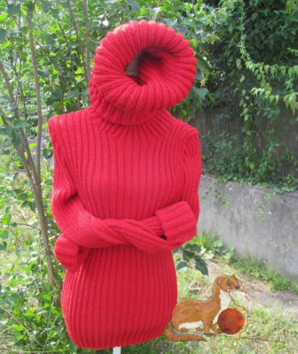 Roter Pullover mit langem Rollkragen2